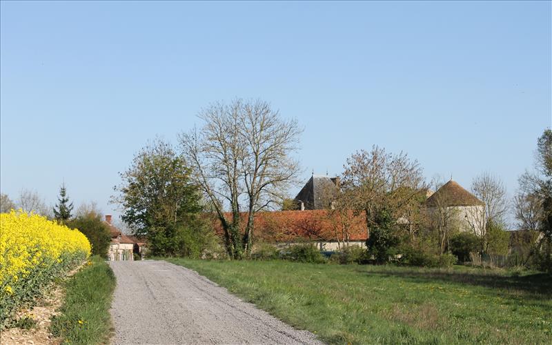Ferme de la Haute Maison_77650 SAINT LOUP DE NAUD_15